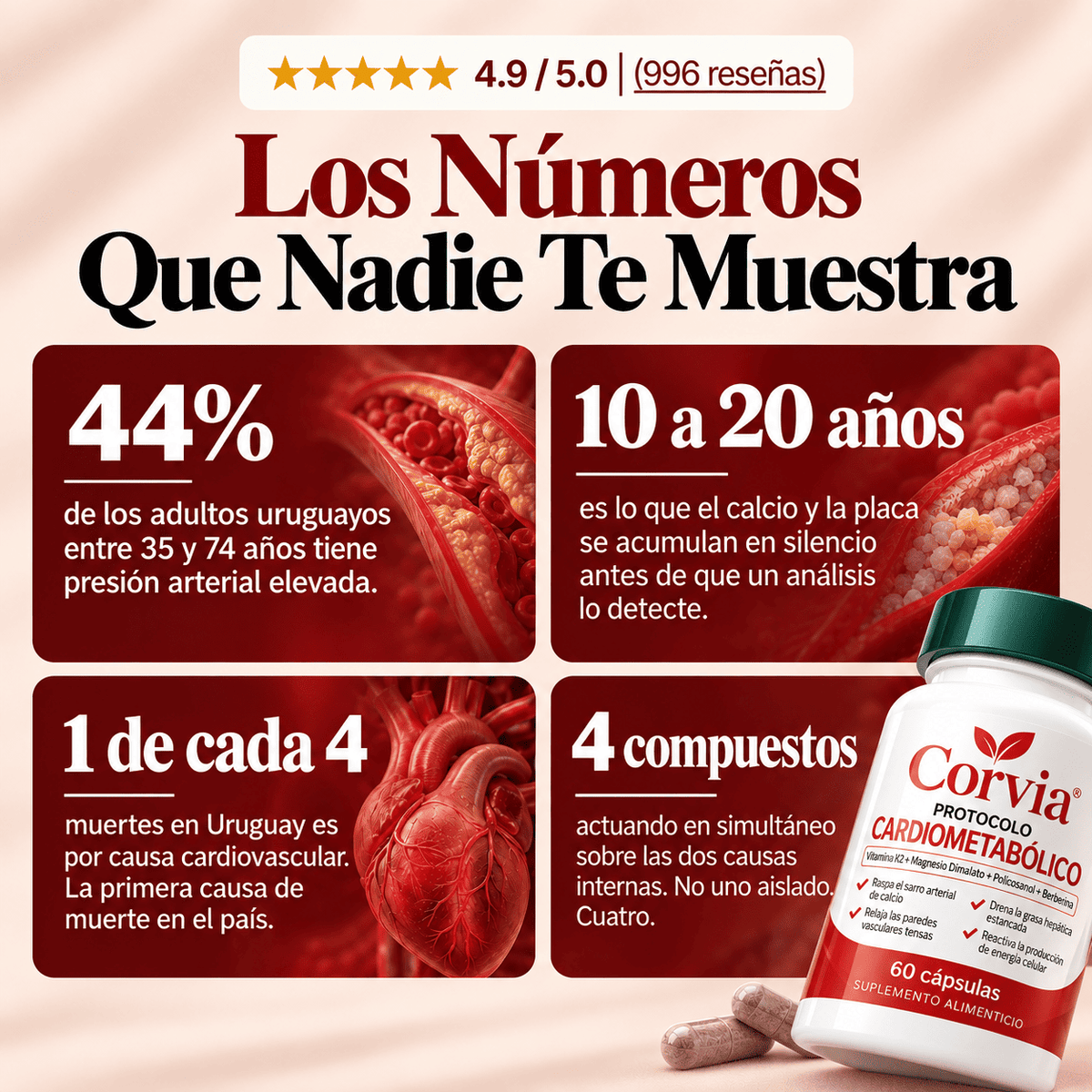 Corvia® Protocolo Cardiometabólico
